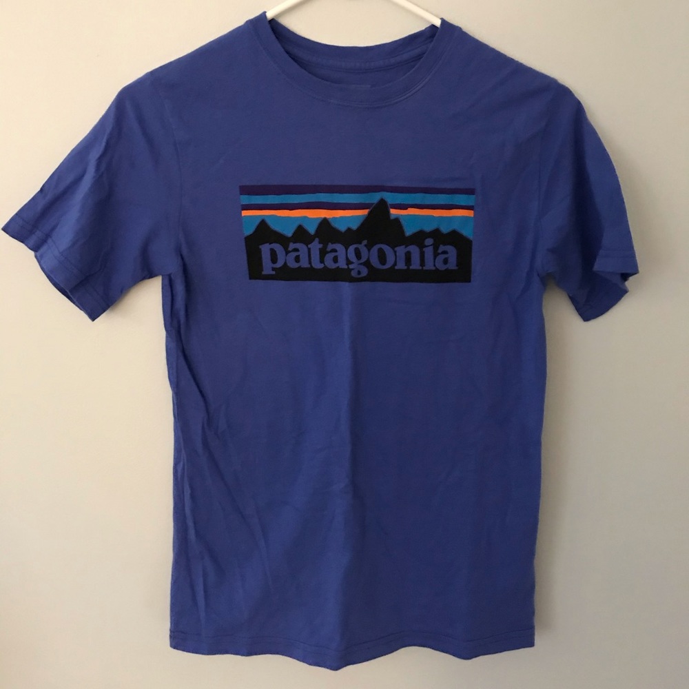 patagonia tshirt